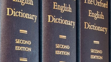 Oxford Sözlüğü 2025 yılının kelimesini seçti: Öfke yemi