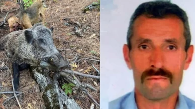 Erzincan'da domuz saldırısı sonucu hayatını kaybetti