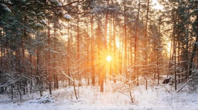 Meteoroloji uyardı: Bir yanda bahar havası, bir yanda kar ve don tehlikesi