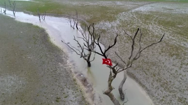 İstanbul'da korkutan manzara!