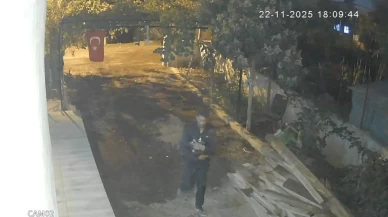 Tavuk hırsızlığı yapan zanlı, güvenlik kameraları sayesinde yakalandı!