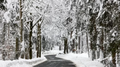 Doğu’da görüş mesafesi 30 metreye düştü! Sis ve buzlanma hayatı felç etti