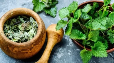 Isırganın bu etkisini kimse bilmiyor!