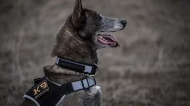 Sessiz kahraman Melo: 8 yılda 160 görevde hayatlara dokundu