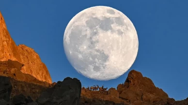 Dolunay yaban keçileriyle zirvede buluştu