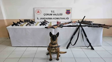 Jandarmadan geniş çaplı baskın: Çok sayıda silah ele geçirildi