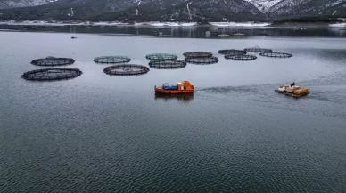 Denizi olmayan Tokat’ın somonları dünyaya açılıyor