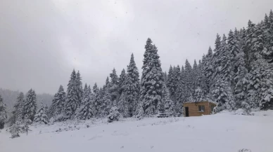 Sinop’ta kış manzaraları! Hacıağaç Yaylası beyaza büründü
