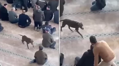 Camidekilere büyük panik yaşatmıştı!