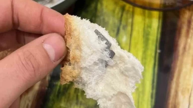 Kahvaltı sofrasında büyük tehlike: Ekmeğin içinden çıkan şey şok etti