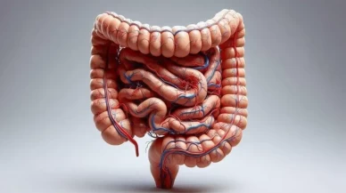 Bağırsak duvarını tamir eden tarif gündemde