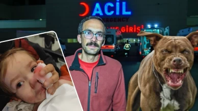 Pitbull cinsi köpeğin yaraladığı minik Efe günler sonra ailesiyle görüştü