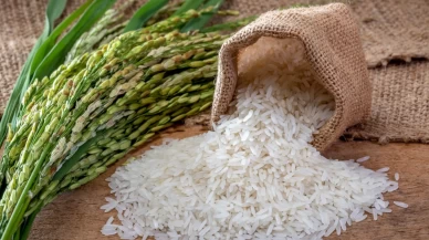 Pirinçteki zehirli arsenikten böyle kurtulun