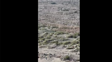 Bakanlık düğmeye bastı: Ağyatan Lagünü çevresi baştan aşağı yeşilleniyor