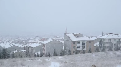 Eskişehir'de kar yağışı hayatı olumsuz etkiliyor
