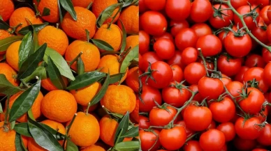 İstanbul’un Kasım favorileri açıklandı! Meyvede mandalina, sebzede domates zirvede: Rakamlar şaşırttı