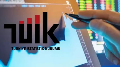 TÜİK, ''Teknogirişim Araştırması, 2024'' bültenini yarın yayımlayacak