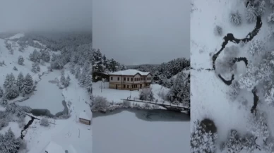 Erzincan’daki Dumanlı Tabiat Parkı karla kaplandı