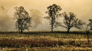 Türkiye genelinde hava değişiyor! Sıcaklıklar hızla düşecek, bazı bölgelerde kuvvetli yağış alarmı