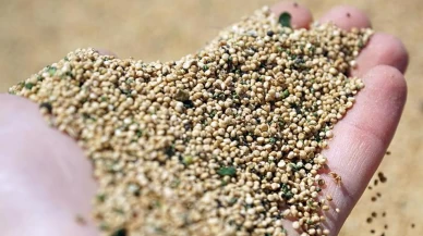 Kinoa zayıflatır mı?