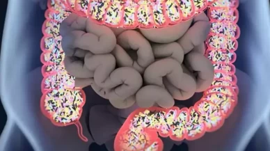 Probiyotikler hakkında merak edilenler