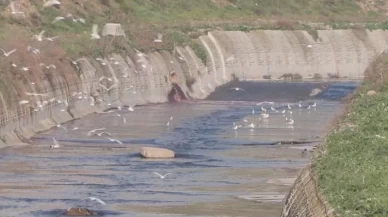 İstanbul'da tepki çeken görüntü ve koku