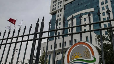 Danıştay’dan Tarım ve Orman Bakanlığı personeline ek ödeme kararı