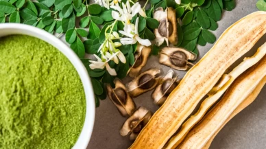Moringa erkek bedeninde neleri değiştiriyor?