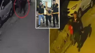 Pes artık! Baygın haldeki kişinin telefonunu sokakta köpekle çaldılar