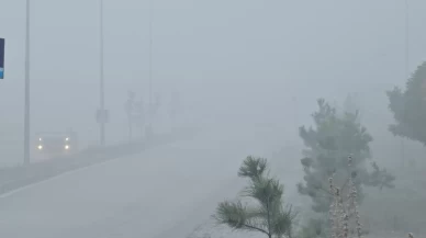 Elazığ'da yoğun sisten bir mahalle adetakayboldu