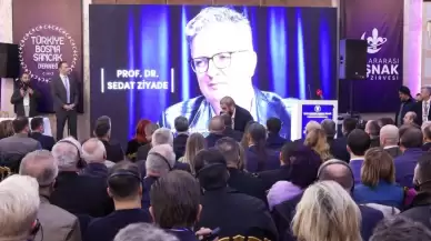 1. Uluslararası Boşnak Zirvesi, İstanbul'da gerçekleşti