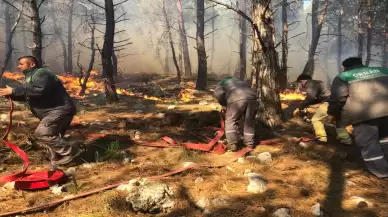 Antalya'da orman yangını: Ekipler hızla müdahale ediyor