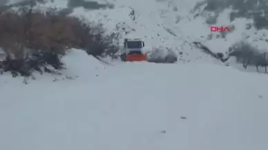 Cezaevinden izinli çıktı, yine hırsızlık yaptı