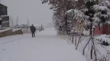 Van'da kar esareti: Uçak seferleri iptal oldu