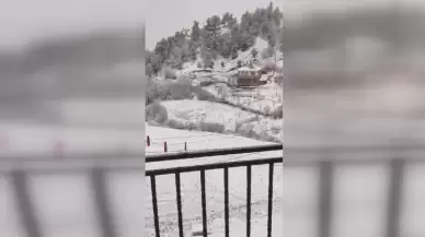 Kastamonu'da aç kalan kurtlar köye indi, köy sakinleri o anları kaydetti