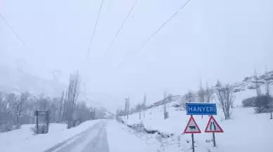 Adana'nın yüksek kesimleri kar altında