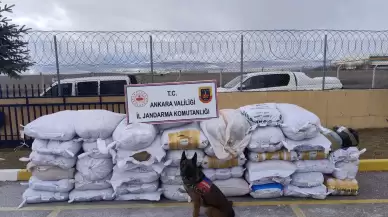 Ankara'da bir tırda 4 ton 700 kilo kaçak tütün ele geçirildi