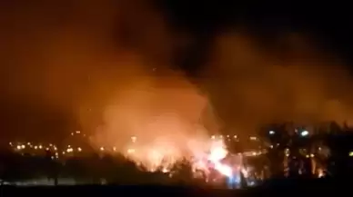 Mersin Erdemli'deki sazlık yangını kontrol altına alındı