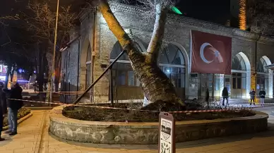 550 yıllık çınar, tarihi İshakpaşa Camii'nin üzerine devrildi