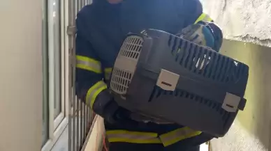 İki bina arasında mahsur kalan kedi kurtarıldı