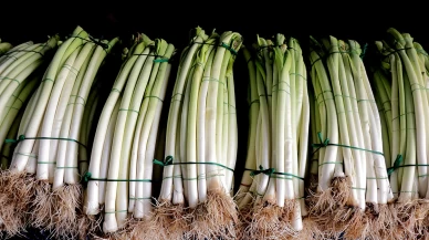 C vitamini zengini pırasa ile kış aylarında sağlığınızı koruyun