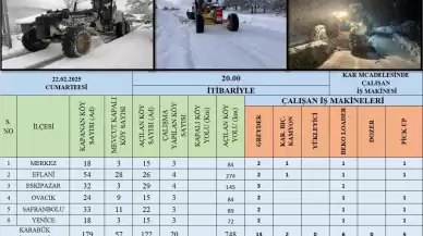 Kar sonrası kapanan 179 köy yolundan 122'si ulaşıma açıldı