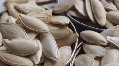 Kabak çekirdeği kabuğunun faydaları: Çöpe atmayın, sağlığınıza sağlık katın!