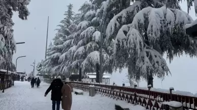 Ordu'da eğitime kar engeli! 3 ilçede okullar tatil