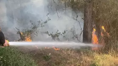 Osmaniye’de orman yangını