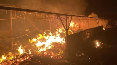 Mersin'de çiftlik yangını