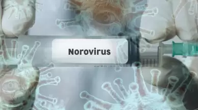 Dünyadaki yeni tehlike: Norovirüs