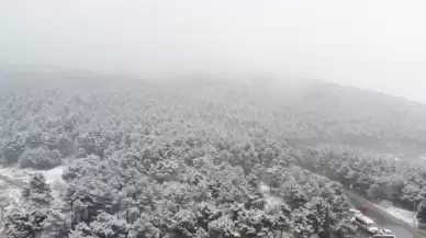 Aydos Ormanı beyaza büründü