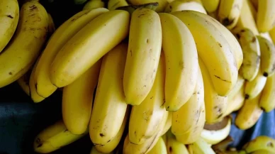 Güçlü kemikler için doğal destek