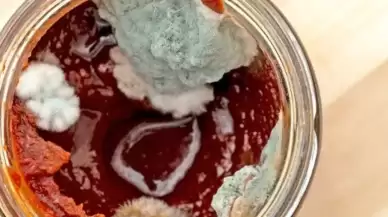 Salçanız küfleniyorsa bu yöntemi deneyin! Sadece 1 kaşık yeterli